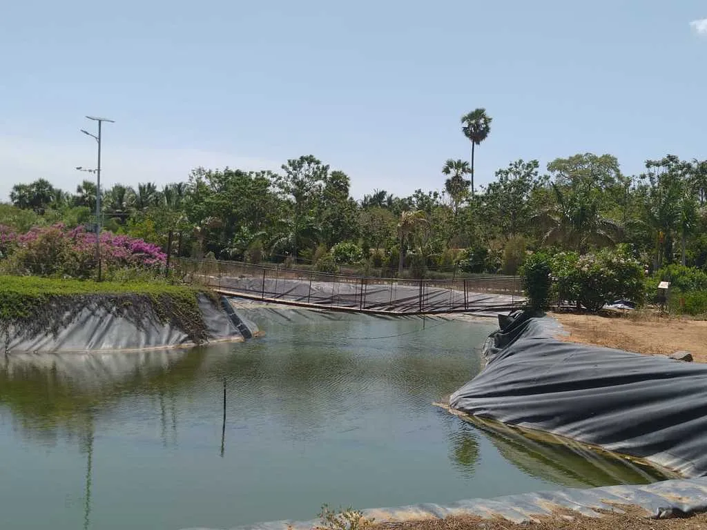  Who is responsible for this miserableness of Srirangam Butterfly Park!